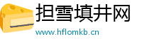 担雪填井网